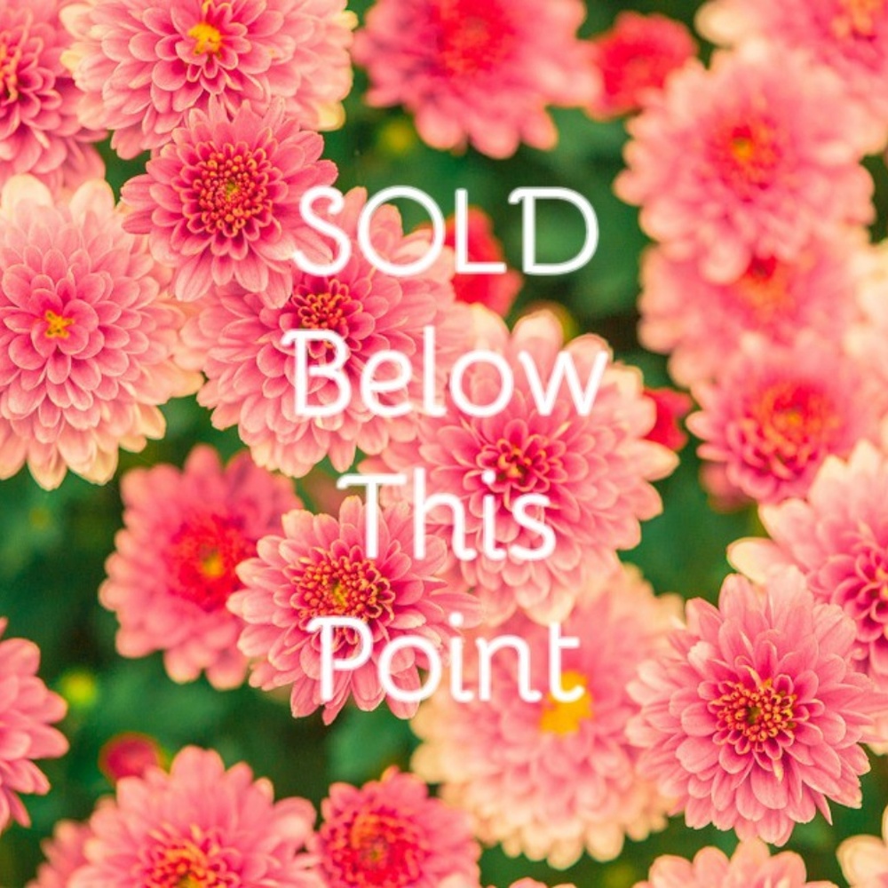SOLD BELOW THIS POINT